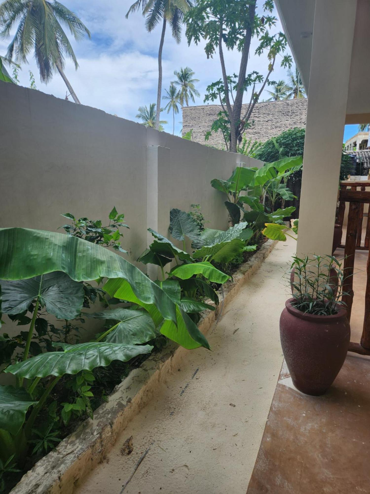 Hotel Two Palms Jambiani  Exterior foto